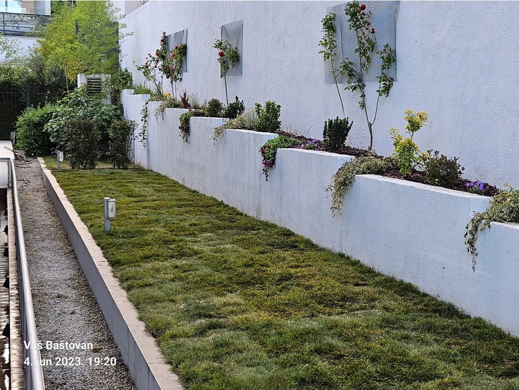 sadnja ukrasnog siblja i grmlja