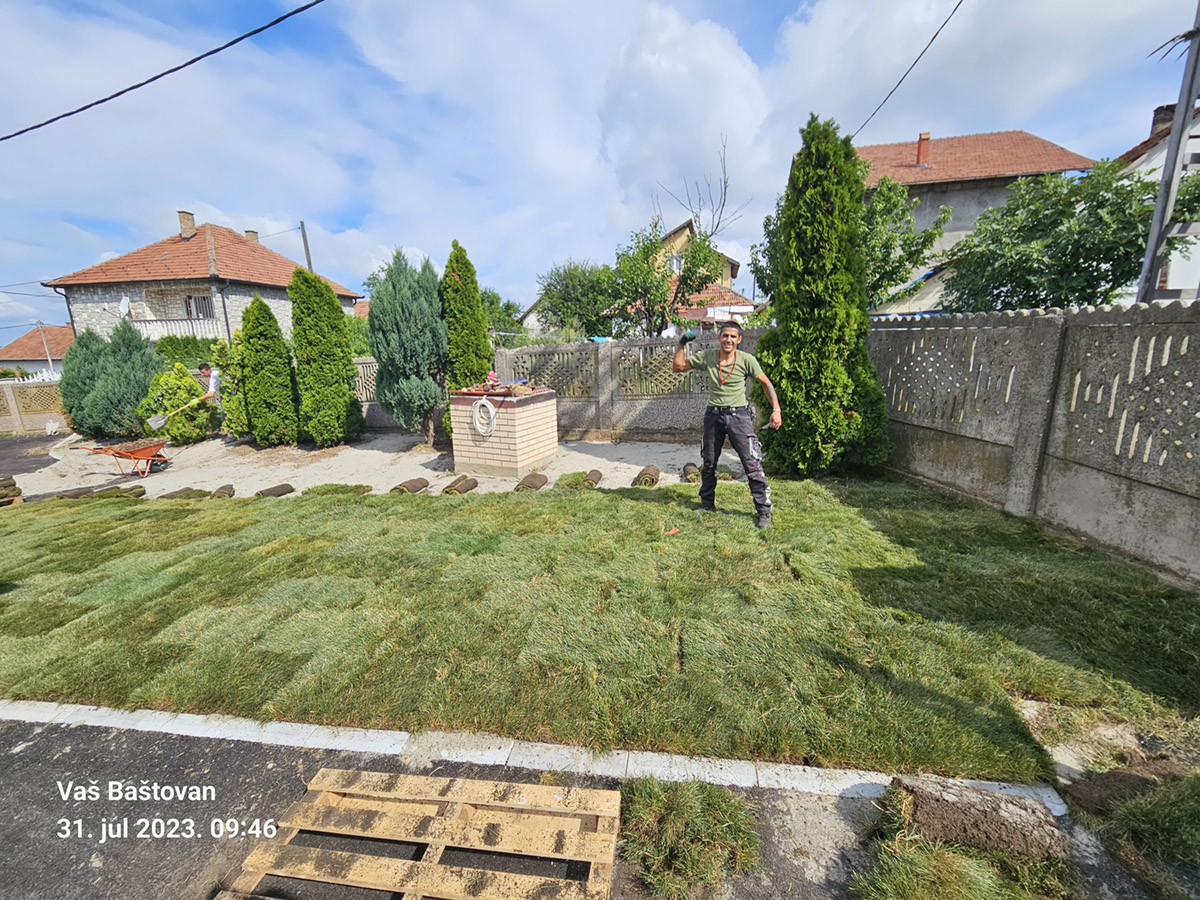 postavljanje tepih trave